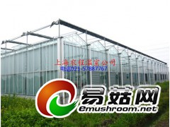 温室销售 浙江温室大棚 浙江蔬菜大棚 温室大棚材料 批发销售图1