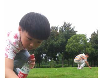 梅雨季草地長(zhǎng)蘑菇 切忌盲目采摘食用 ()