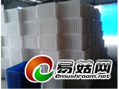 菏泽塑料周转筐，东明塑料筐，曹县塑料筐，梁山塑料周转筐图1