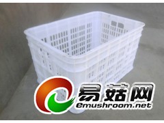 滕州周转筐，土豆周转筐，台儿庄塑料筐，峄城周转筐图3