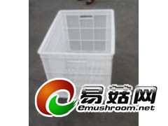济宁周转筐，汶上塑料筐，曲阜塑料筐，泗水塑料筐，邹平周转筐图2