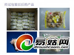 超市带托盒白玉菇包装机械，带托盒食用菌包装机械图1