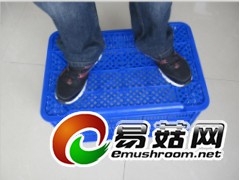 莘县周转筐，冠县玉米周转筐，阳谷塑料筐，茌平塑料筐图2