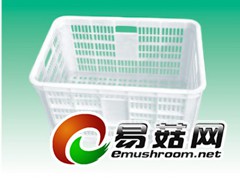 530塑料周转筐，香菇周转筐，淄川塑料筐，桓台筐，周村塑料筐图2
