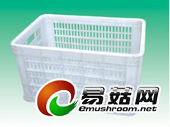 530塑料周转筐，香菇周转筐，淄川塑料筐，桓台筐，周村塑料筐图3