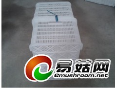 南阳周转筐，西峡塑料筐，镇平塑料筐，内乡塑料筐，新野周转筐图3