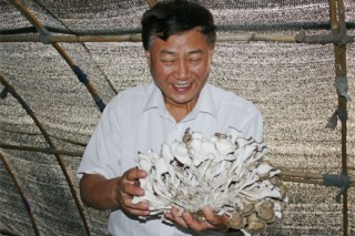 中國(guó)食用菌協(xié)會(huì)張祥茂會(huì)長(zhǎng)一行四人考察遷西栗蘑產(chǎn)業(yè) ()