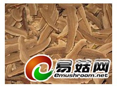 山东灵芝种植基地图2