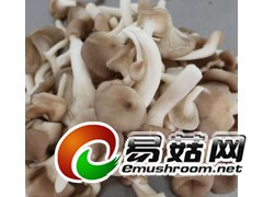 大量收购秀珍菇,杏鲍菇,香菇图3