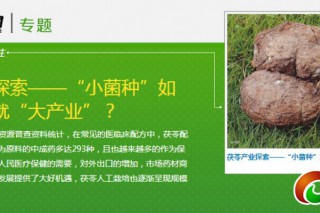 本網(wǎng)推出專(zhuān)題：《茯苓產(chǎn)業(yè)探索——“小菌種”如何逆襲成就“大產(chǎn)業(yè)”？》 ()