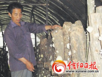 朵朵白耳富鄉(xiāng)親 ()