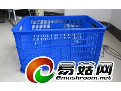 临沂蘑菇周转筐-610塑料周转筐图2