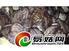 本产地常年供应 香菇 木耳 香菇脚 香菇粉 杏鲍菇切片。图1