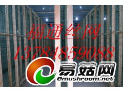 杏鲍菇出菇网格 菇架图2