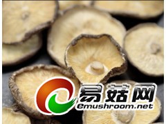 长期大量收购干鲜香菇图1