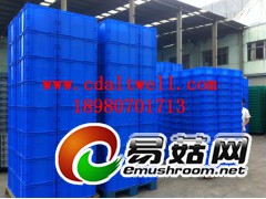 双流EU物流箱/龙泉EU周转箱/四川塑料周转箱图2