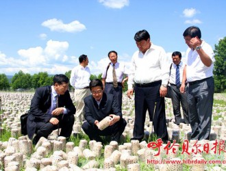 根河打造全國(guó)首個(gè)高寒生態(tài)食用菌產(chǎn)業(yè)基地 ()