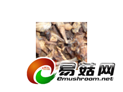 出售野生榛蘑图1