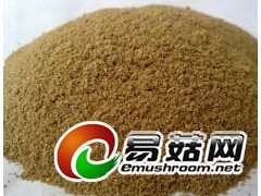 求购江西地区细木屑、粗木屑、甘蔗渣、玉米粒 、豆柏、麦麸、玉米芯、小麦图1