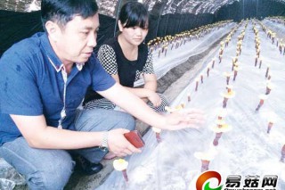 如皋吳窯鎮(zhèn)沈萬(wàn)堂農(nóng)業(yè)生態(tài)園：靈芝仙草破土生金 ()