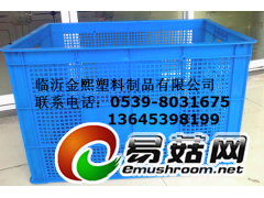 塑料蔬菜筐厂家，蔬菜塑料筐批发价格，蘑菇、香菇筐图片尺寸图1