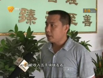 周春光：我種了四個香菇大棚，一天收入5000塊錢 ()