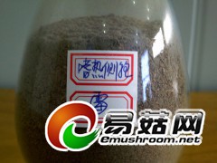 嗜热性侧孢霉图1