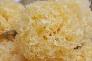 古田“富贵花”顺利在渤海商品交易所挂牌上市