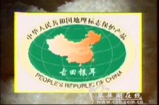 “中国驰名商标”古田银耳在渤商所上市　