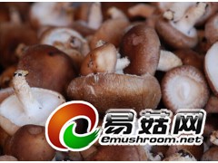 求购香菇月用量8-10吨图2