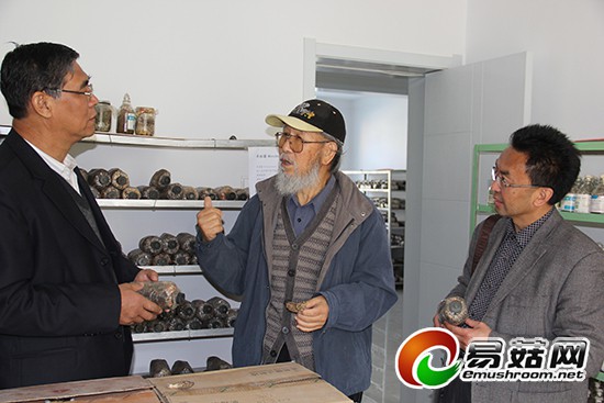 图片1