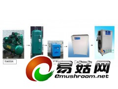 舟山纯净水臭氧消毒机 舟山臭氧发生器批发商图1