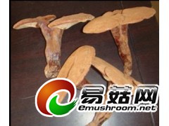 厂家直销灵芝多糖、灵芝粉图1