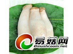 求购香菇，木耳，杏鲍菇，双孢菇图1