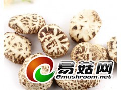 长期收购椴木香菇图1