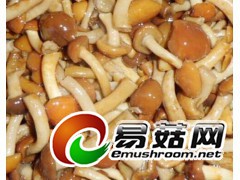 求购盐水滑仔菇图1