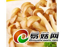 求购盐渍蟹味菇、图1