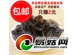 东北野生无根黑木耳秋木耳批发图1