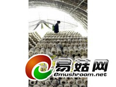 温室大棚简易拱棚蘑菇大棚新型建造技术图1