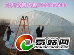 温室大棚简易拱棚蘑菇大棚新型建造技术图2