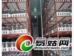 养菌车间图1
