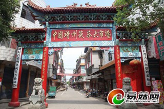 湖南靖州利用馬尾松樹(shù)樁種茯苓　代料栽培技術(shù)趨于成熟 ()