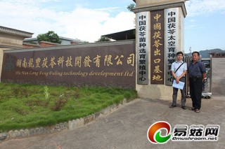 靖州茯苓專業(yè)協(xié)會(huì)將建中國(guó)靖州國(guó)際茯苓科技產(chǎn)業(yè)園 ()