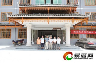 貴州錦屏縣茯苓大減產(chǎn) 加工企業(yè)紛紛轉(zhuǎn)行 ()