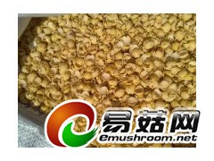 菌需物资 黄豆皮 玉米芯 棉籽壳 大米油糠 稻糠 干豆渣图1