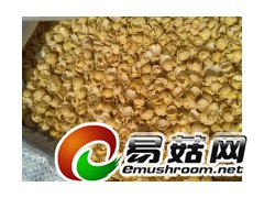 黄豆皮 玉米芯 棉籽壳图2