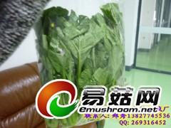 蔬菜自动保鲜包装机械图2