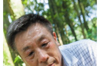《每日商報(bào)》采訪韓省華，刊載“菇蕈記” ()