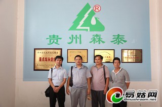 貴州森泰靈寶研發(fā)茯苓復(fù)式栽培技術(shù)通過(guò)“GAP生產(chǎn)基地認(rèn)證” ()