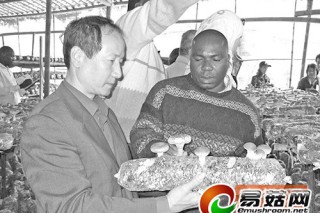 最美農(nóng)民戴維浩：古田食用菌“土專家” ()